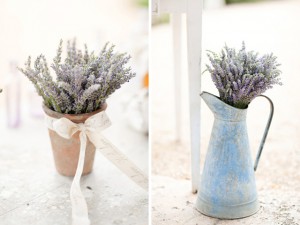 lavanda