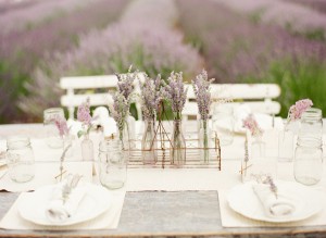 lavanda