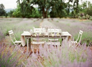 lavanda