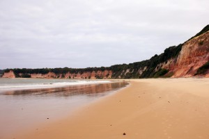 baia dos golfinhos