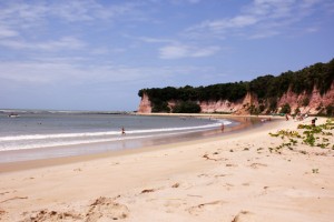 baia dos golfinhos