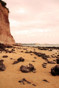 baia dos golfinhos