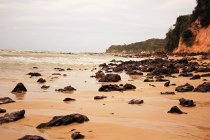 baia dos golfinhos
