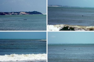 baia dos golfinhos