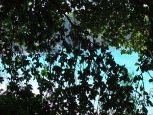 praia do meio