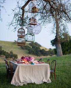 decorar com gaiolas