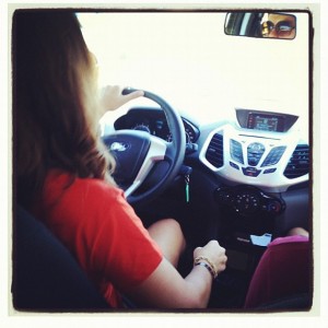 novo ecosport