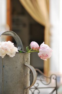valdirose