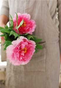 valdirose