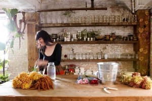 estudio de flores