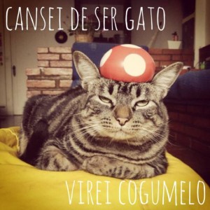 cansei de ser gato