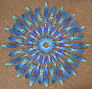 mandala de flores