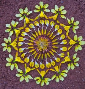 mandala de flores