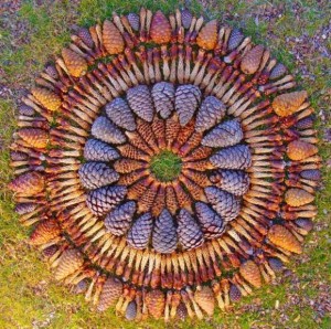 mandala de flores