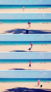 praia dos carneiros