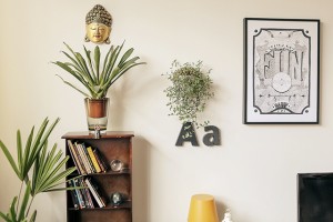 plantas na decoração