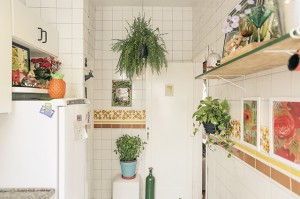 plantas na decoração