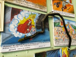 santa quiteria das frexeiras 16