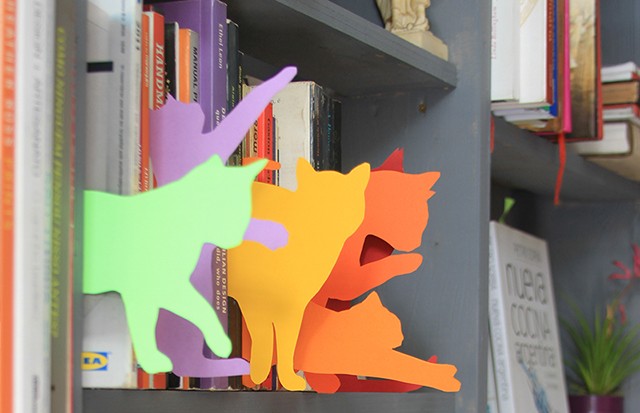 gatos coloridos na estante 7